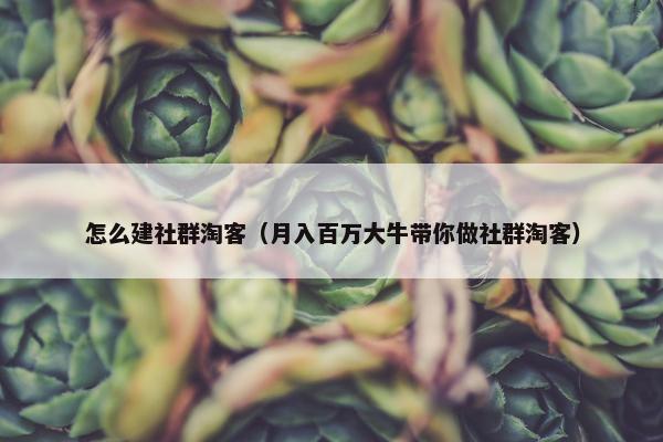怎么建社群淘客（月入百万大牛带你做社群淘客）