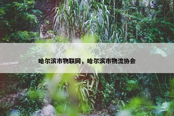 哈尔滨市物联网，哈尔滨市物流协会