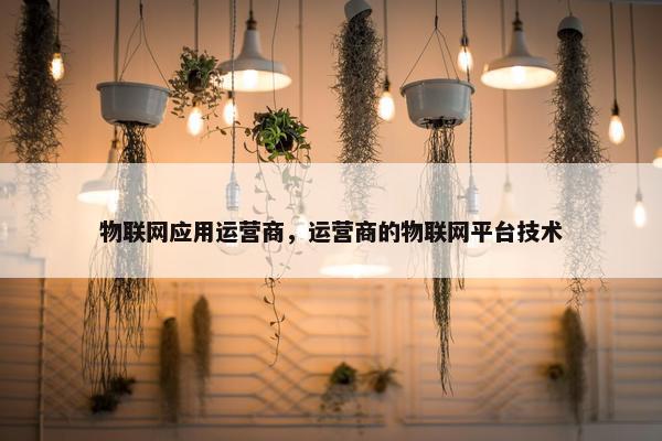 物联网应用运营商，运营商的物联网平台技术