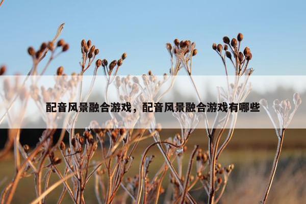 配音风景融合游戏，配音风景融合游戏有哪些