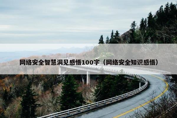 网络安全智慧洞见感悟100字（网络安全知识感悟）
