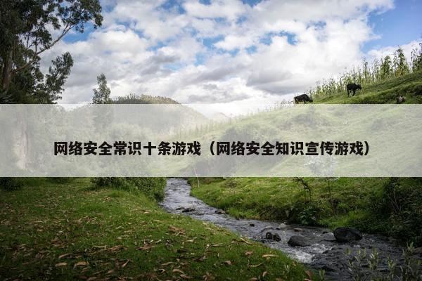 网络安全常识十条游戏（网络安全知识宣传游戏）