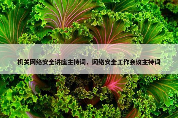 机关网络安全讲座主持词，网络安全工作会议主持词