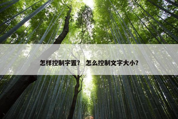 怎样控制字置？ 怎么控制文字大小？