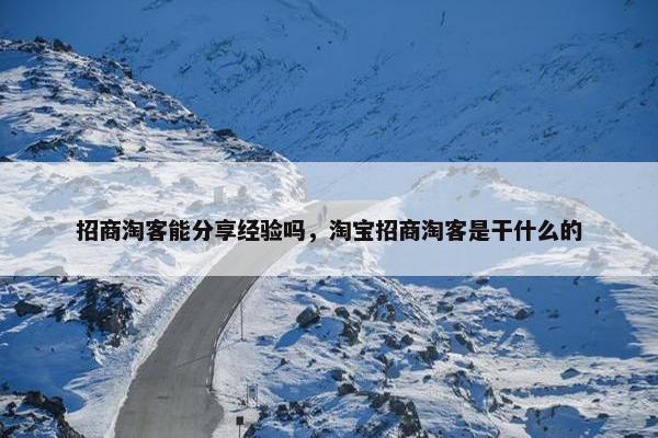 招商淘客能分享经验吗，淘宝招商淘客是干什么的