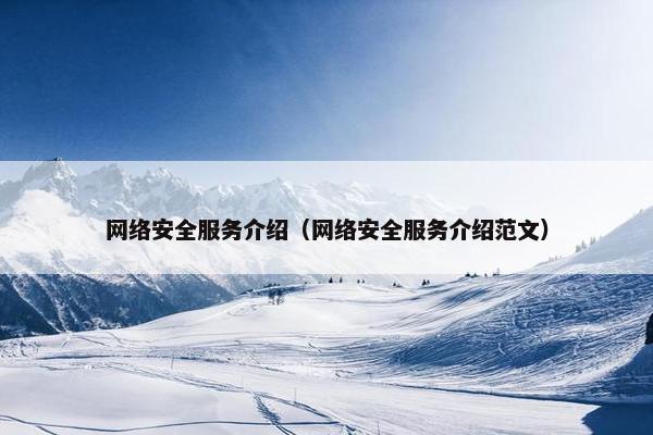 网络安全服务介绍（网络安全服务介绍范文）
