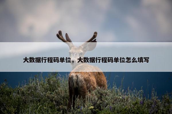 大数据行程码单位，大数据行程码单位怎么填写