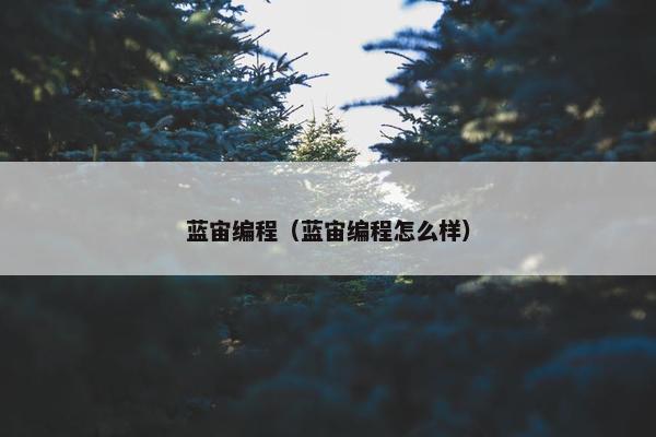 蓝宙编程（蓝宙编程怎么样）