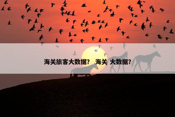 海关旅客大数据？ 海关 大数据？