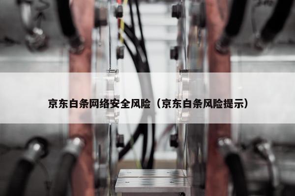 京东白条网络安全风险（京东白条风险提示）