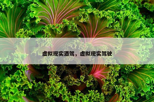 虚拟现实酒驾，虚拟现实驾驶