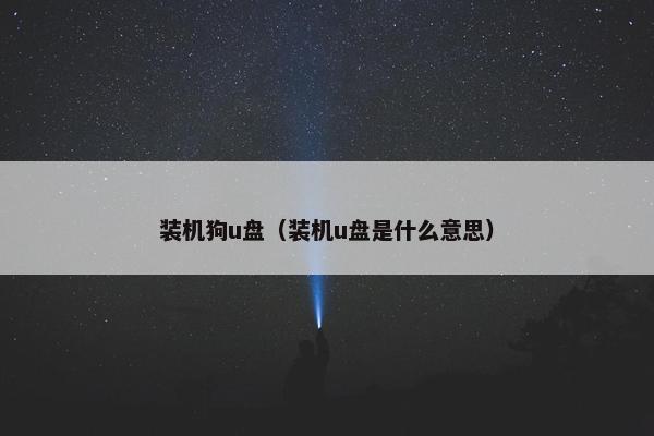 装机狗u盘（装机u盘是什么意思）