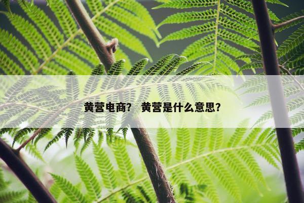 黄营电商？ 黄营是什么意思？