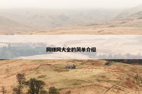 网赚网大全的简单介绍