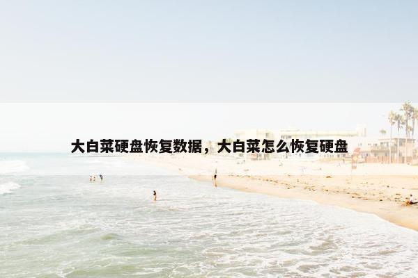 大白菜硬盘恢复数据，大白菜怎么恢复硬盘