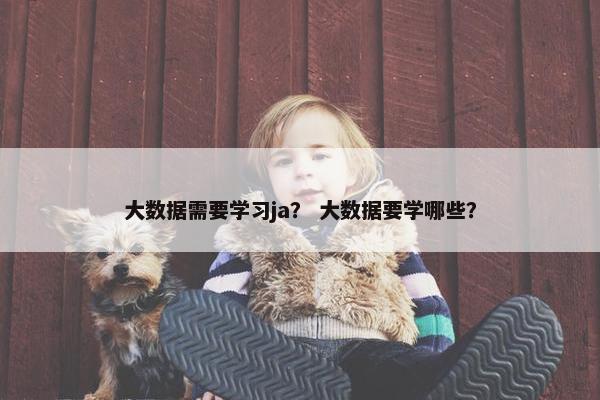 大数据需要学习ja？ 大数据要学哪些？