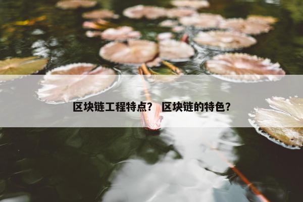 区块链工程特点？ 区块链的特色？
