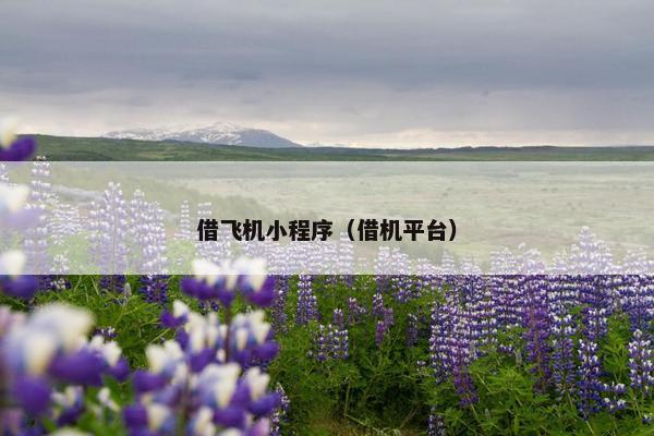 借飞机小程序（借机平台）