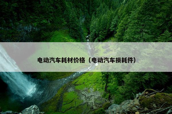 电动汽车耗材价格（电动汽车损耗件）