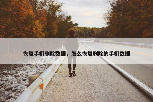 恢复手机删除数据，怎么恢复删除的手机数据
