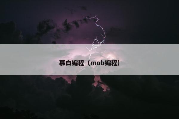 慕白编程（mob编程）