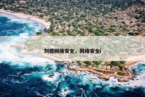 刘德网络安全，网络安全i