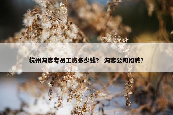 杭州淘客专员工资多少钱？ 淘客公司招聘？