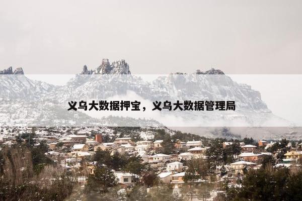 义乌大数据押宝，义乌大数据管理局
