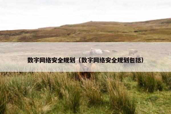 数字网络安全规划（数字网络安全规划包括）