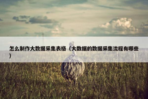 怎么制作大数据采集表格（大数据的数据采集流程有哪些）