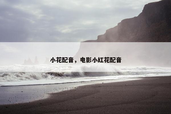 小花配音，电影小红花配音