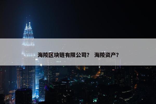 海陵区块链有限公司？ 海陵资产？
