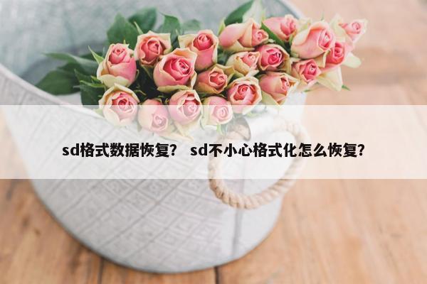 sd格式数据恢复？ sd不小心格式化怎么恢复？