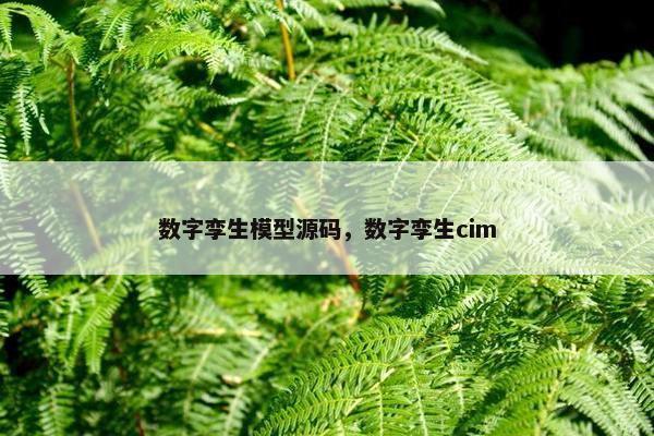 数字孪生模型源码，数字孪生cim
