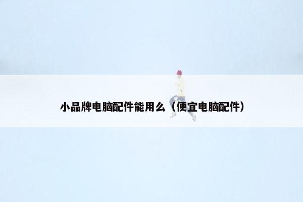 小品牌电脑配件能用么（便宜电脑配件）