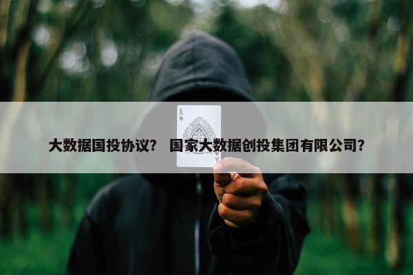 大数据国投协议？ 国家大数据创投集团有限公司？