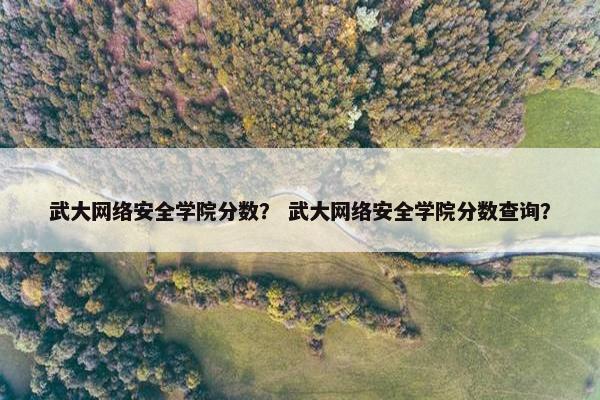 武大网络安全学院分数？ 武大网络安全学院分数查询？