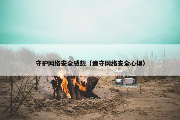守护网络安全感想（遵守网络安全心得）