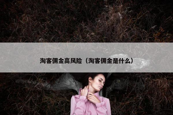 淘客佣金高风险（淘客佣金是什么）