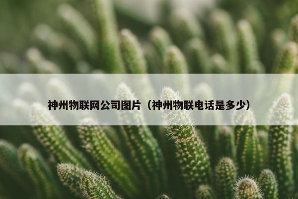 神州物联网公司图片（神州物联电话是多少）