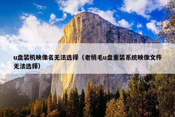 u盘装机映像名无法选择（老桃毛u盘重装系统映像文件无法选择）