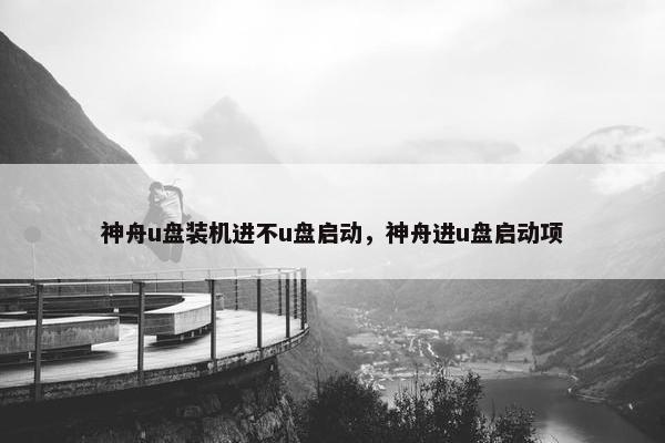 神舟u盘装机进不u盘启动，神舟进u盘启动项