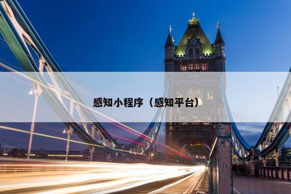 感知小程序（感知平台）