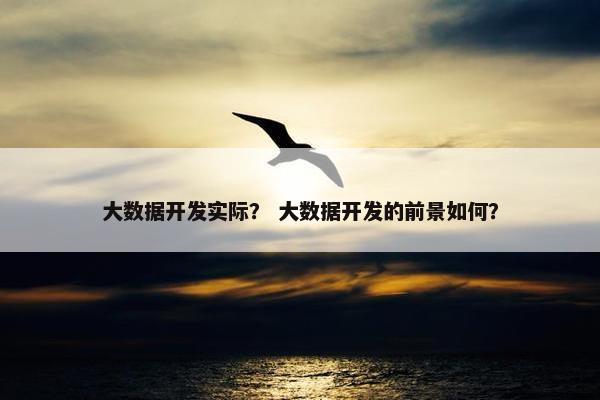 大数据开发实际？ 大数据开发的前景如何？