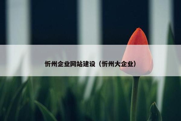 忻州企业网站建设（忻州大企业）