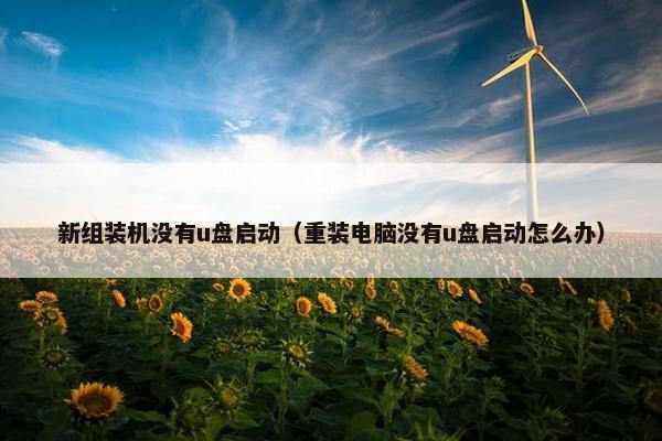 新组装机没有u盘启动（重装电脑没有u盘启动怎么办）
