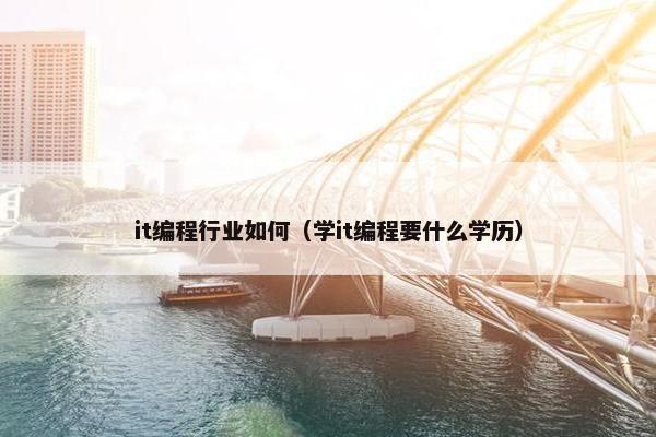 it编程行业如何（学it编程要什么学历）