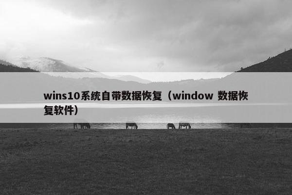 wins10系统自带数据恢复（window 数据恢复软件）