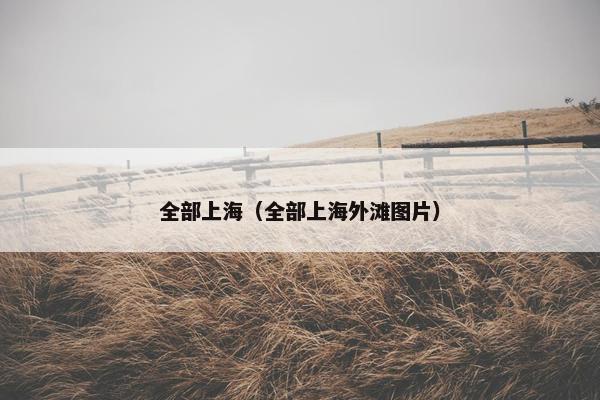全部上海（全部上海外滩图片）