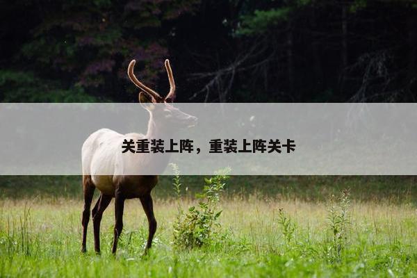 关重装上阵，重装上阵关卡